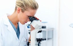 Һ��ɫ����